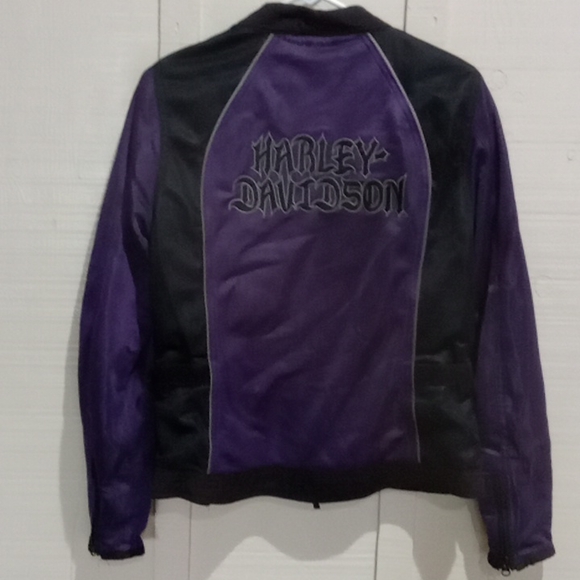 Ladies riding jacket - Picture 4 of 5